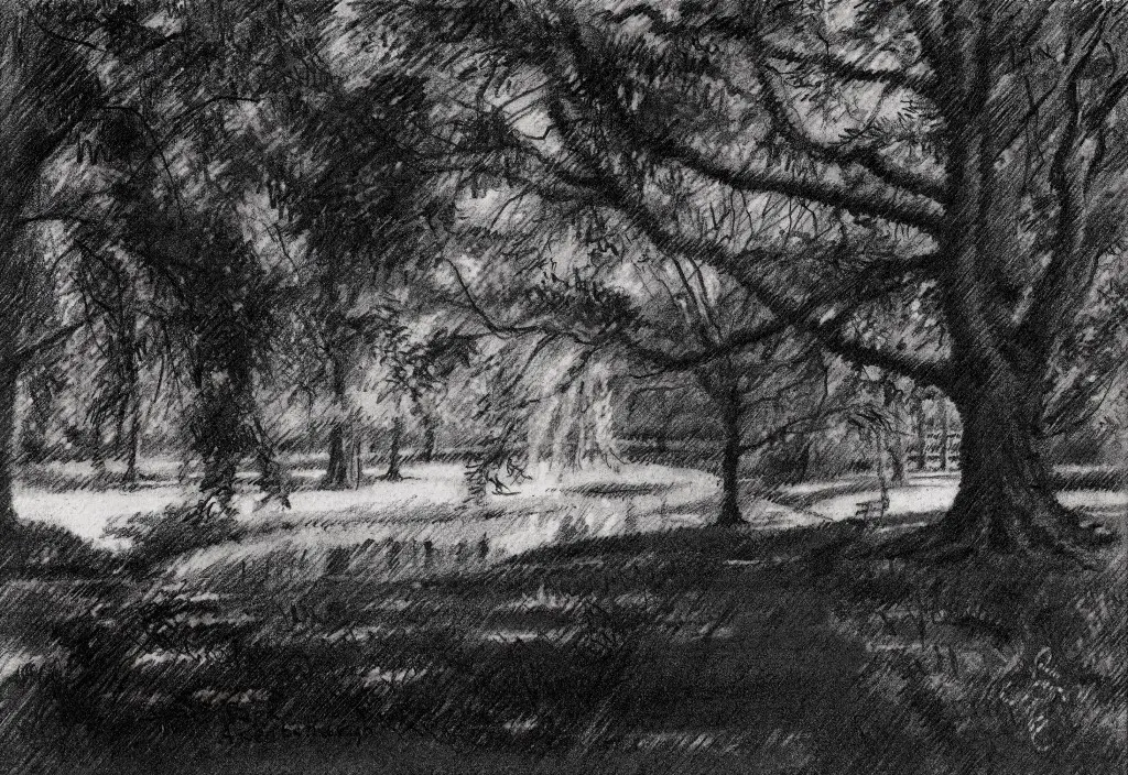 impressionist treescape graphite pencil drawing