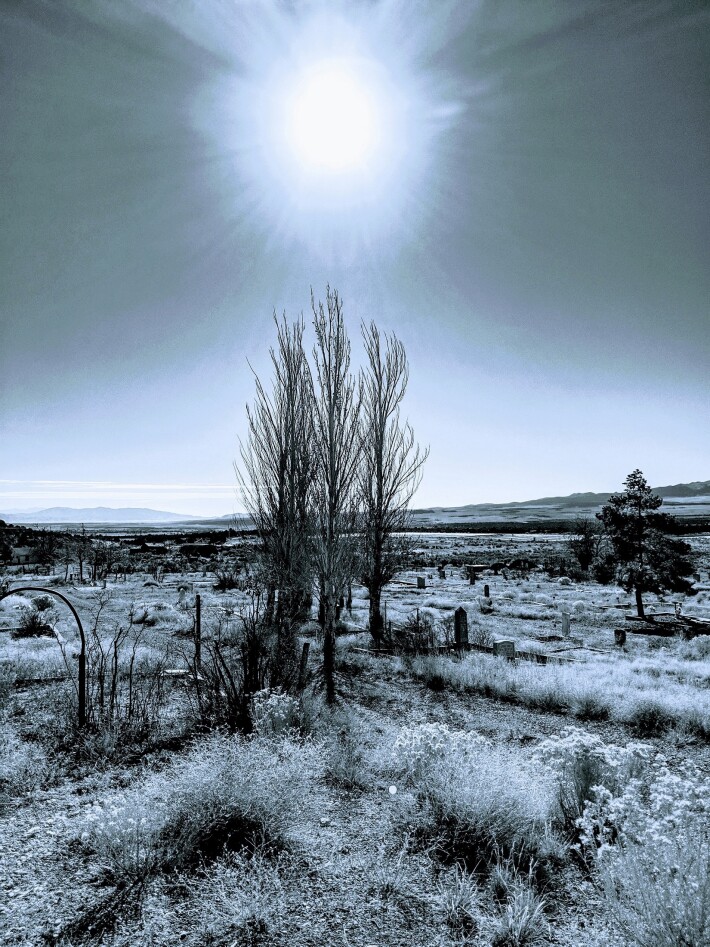 Solitude