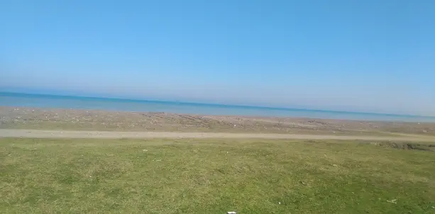 The Sunny Beach & A New Step toward Freedom