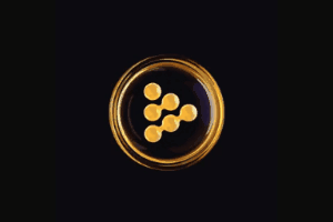 iExec logo
