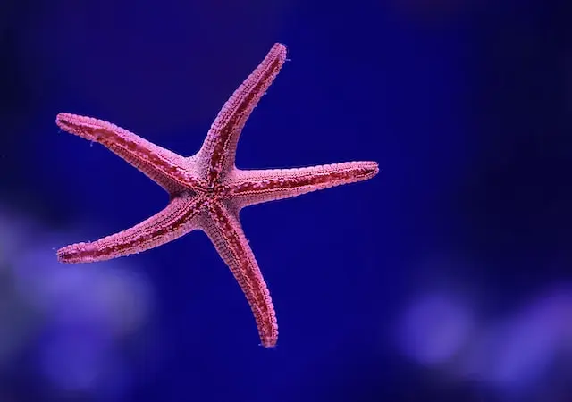 2d971ce95eb20eb0430ce82ab112fa5fe680a8b0c3566e649cb9ec7b1d78b845.jpg