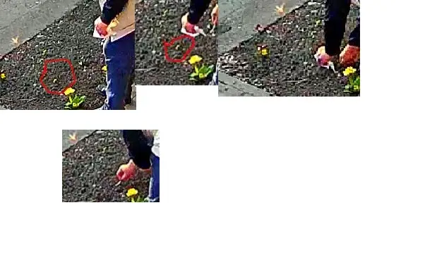 b059fbca7d25a81aad127f6f9ff4e946596d99287ddda455e9f0b0237cb3444f.jpg