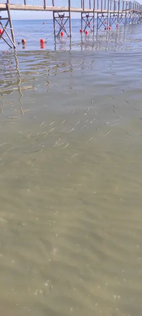 c6a5ae7b141c452610c18726f3b9600a5793ad39cc65d10f6b08e79d7765e682.jpg