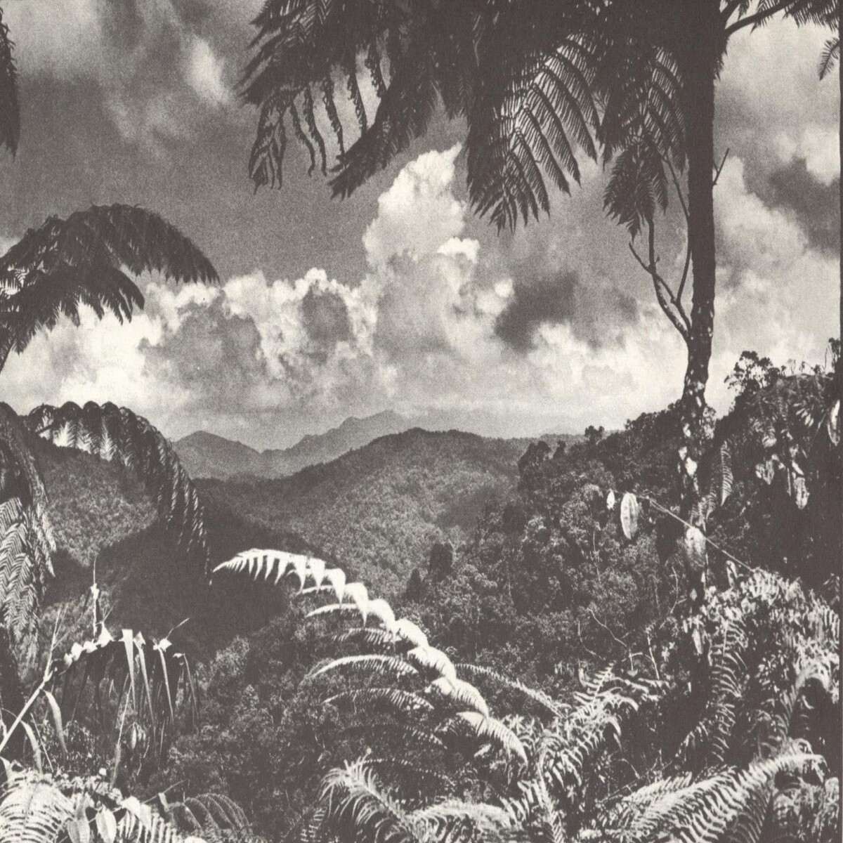 Malaya 1957, Bailey