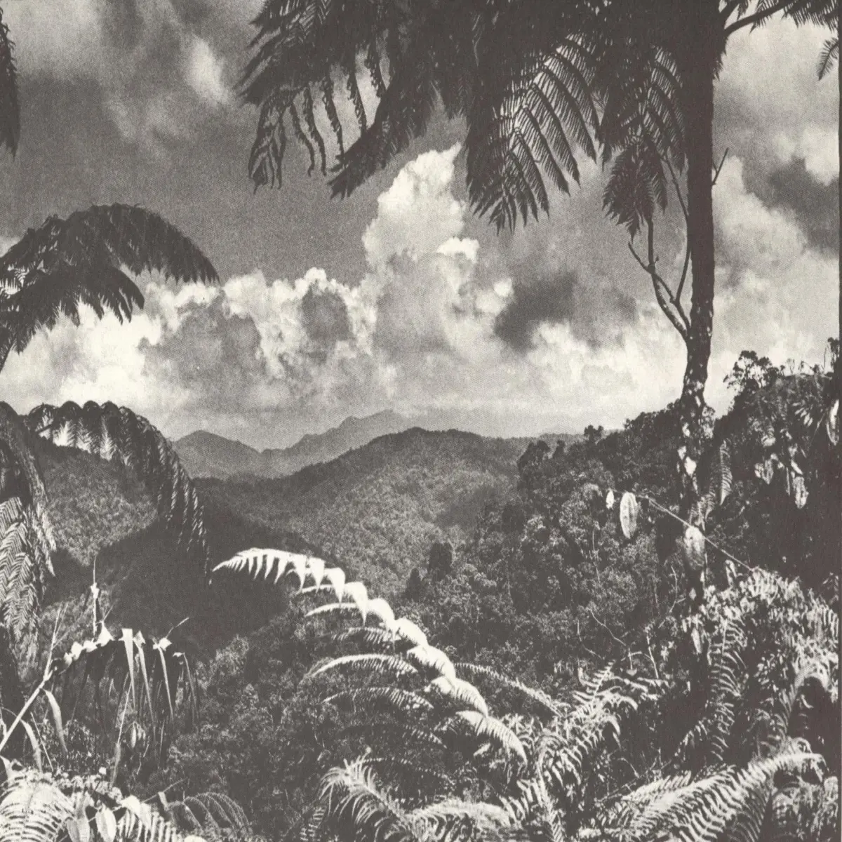 Malaya 1957, Bailey