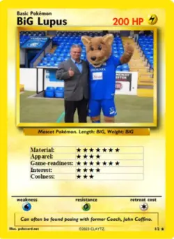 Cheshire Phoenix mascot