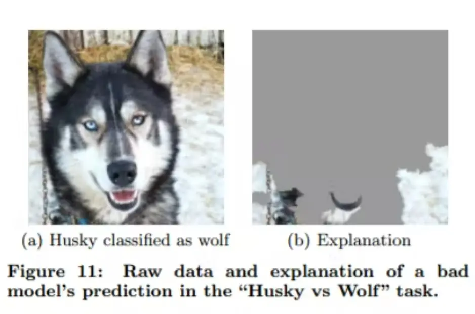 Raw data and explanation of a bad model's prediction