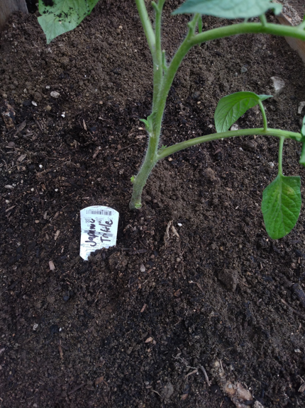 448d7afb654d07d22734d2761c28e4dd3719273f158a0daafb67d11009765f8f.png