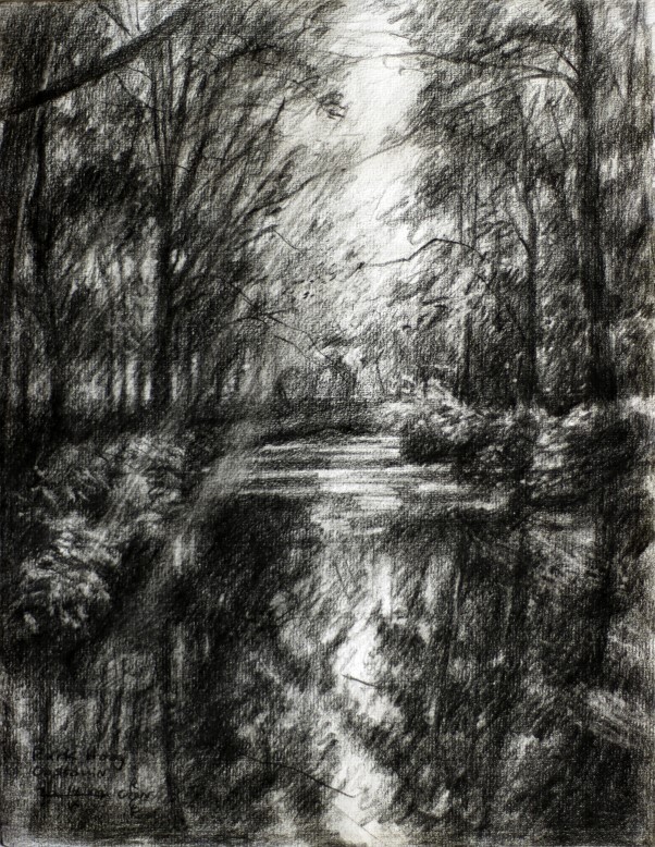 impressionist treescape graphite pencil drawing