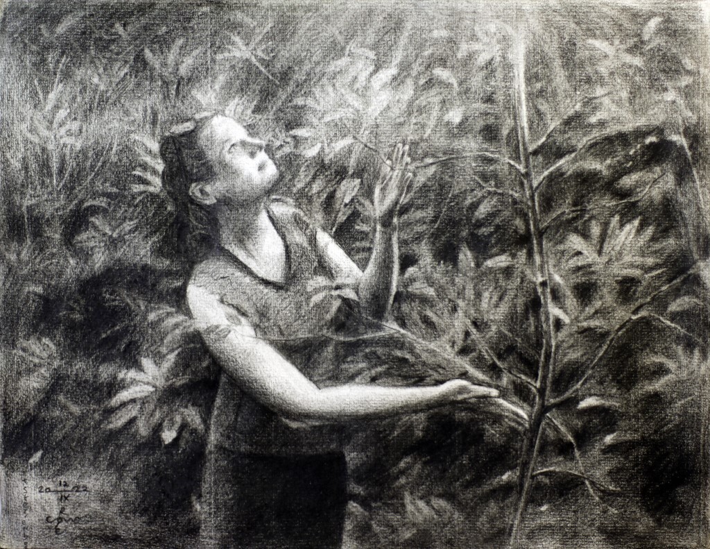 realist portrait in nature graphite pencil drawing