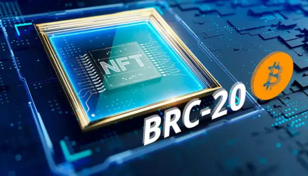 8e1e72b946072727dd7b29b23cb617597d1f5c556e9364fc9e7437a7632c531f.jpg