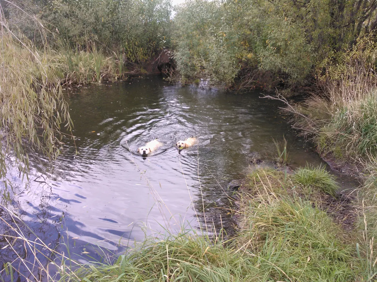 In The Water. . . brrrrr chilli here