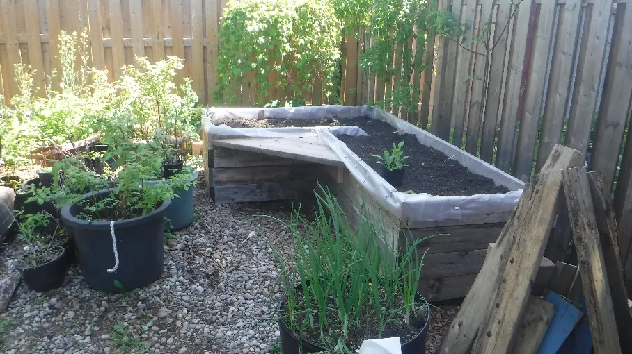 Raised bed for planting.