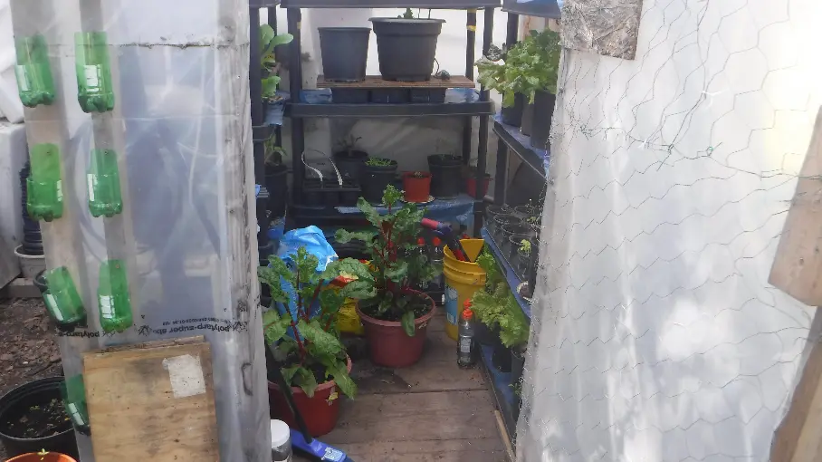Inside the greenhouse.