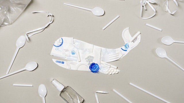 A whale drawn on paper, surrounded by elements made of plastic material.
