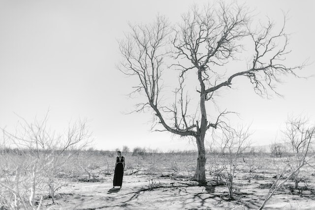 A bleak environment destroyed by contamination with one survivor
