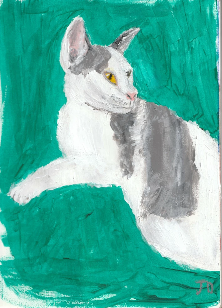 351665157-f2586e68ff58b6c13febdf1989a5ad9813e9aa6c3ecbe798b45245cc50287824.jpeg