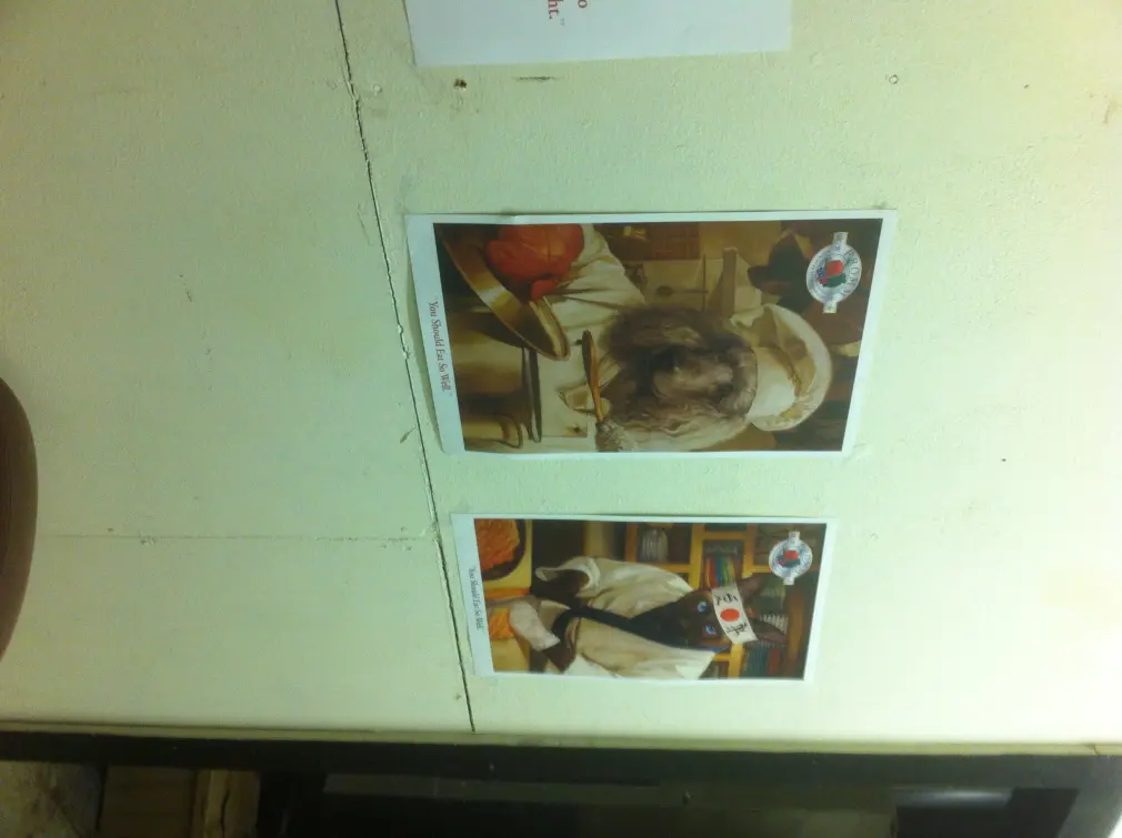posters of dogs and cats cutting meat