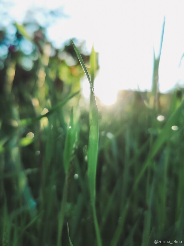 smartphone photography