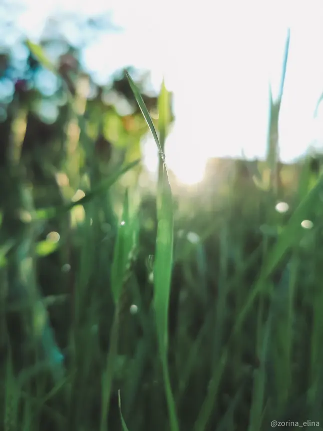 smartphone photography