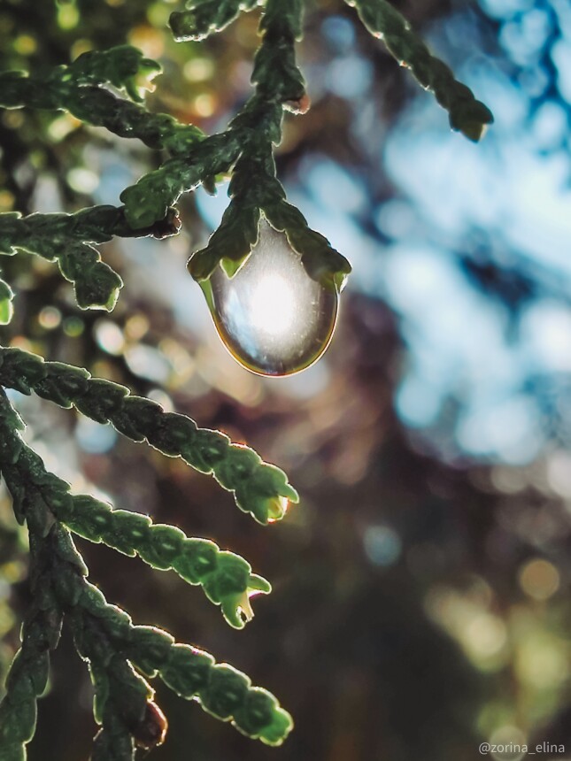 smartphone photography