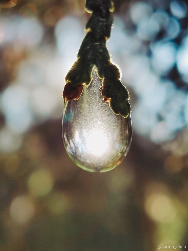smartphone photography