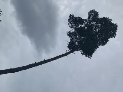 8b08f75ed63832b0c8069fe5f18464a97bcd442388095a3106f7559b53345264.jpg