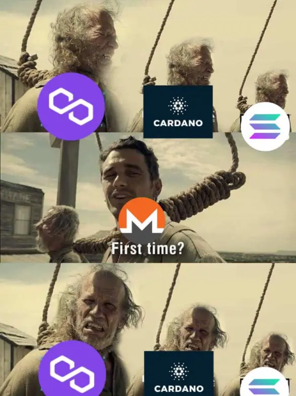 2c98180487fba79c898cca34c235cd328624b8566563cdce79c8f189e88e97e8.jpg