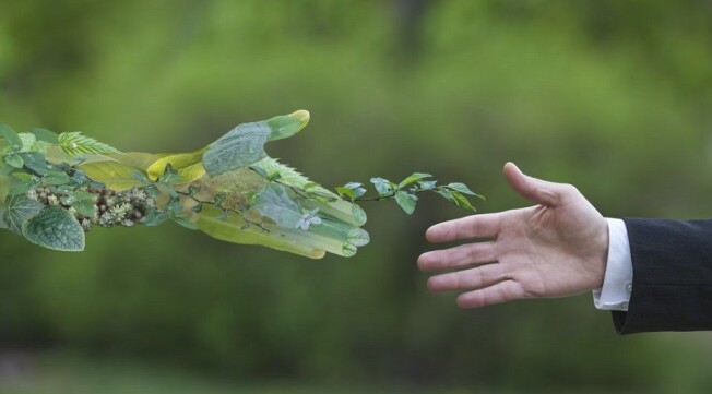 We are facing complicated challenges and they do not compare with what awaits future generations. The problems can only be overcome by people with integrity, knowledge and skills, both manual, intellectual and social. Now imagine a sustainable planet that is equitable, empathetic, responsible and with a great bond with nature, a sustainable world that can be built with a grain of sand from each one of us, that is the world we want and in which we deserve to live.