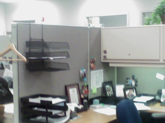 Life Is Cubicle At Bellwether Snacks