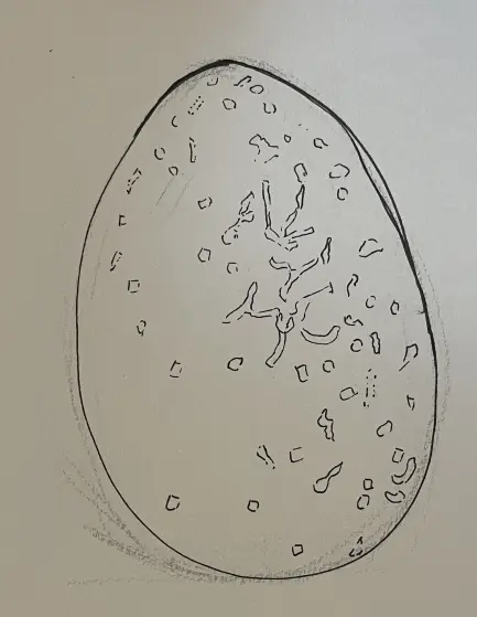 a rough inking of a robin's egg