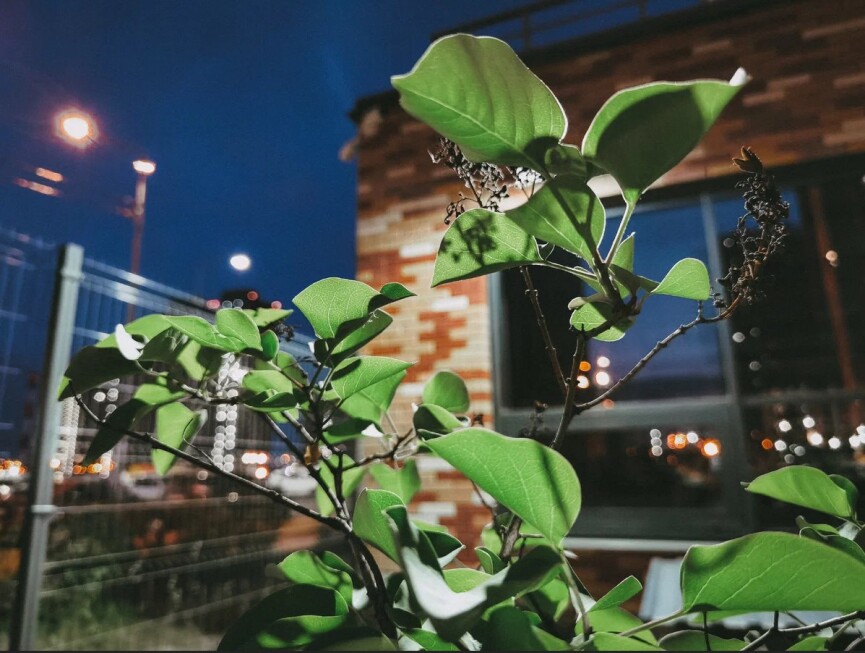 Night photography