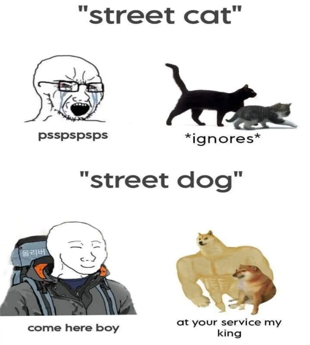 83457c02b96853b52443057cfd766a705b7a000465458c0c39402ecc5fbc4d07.jpg