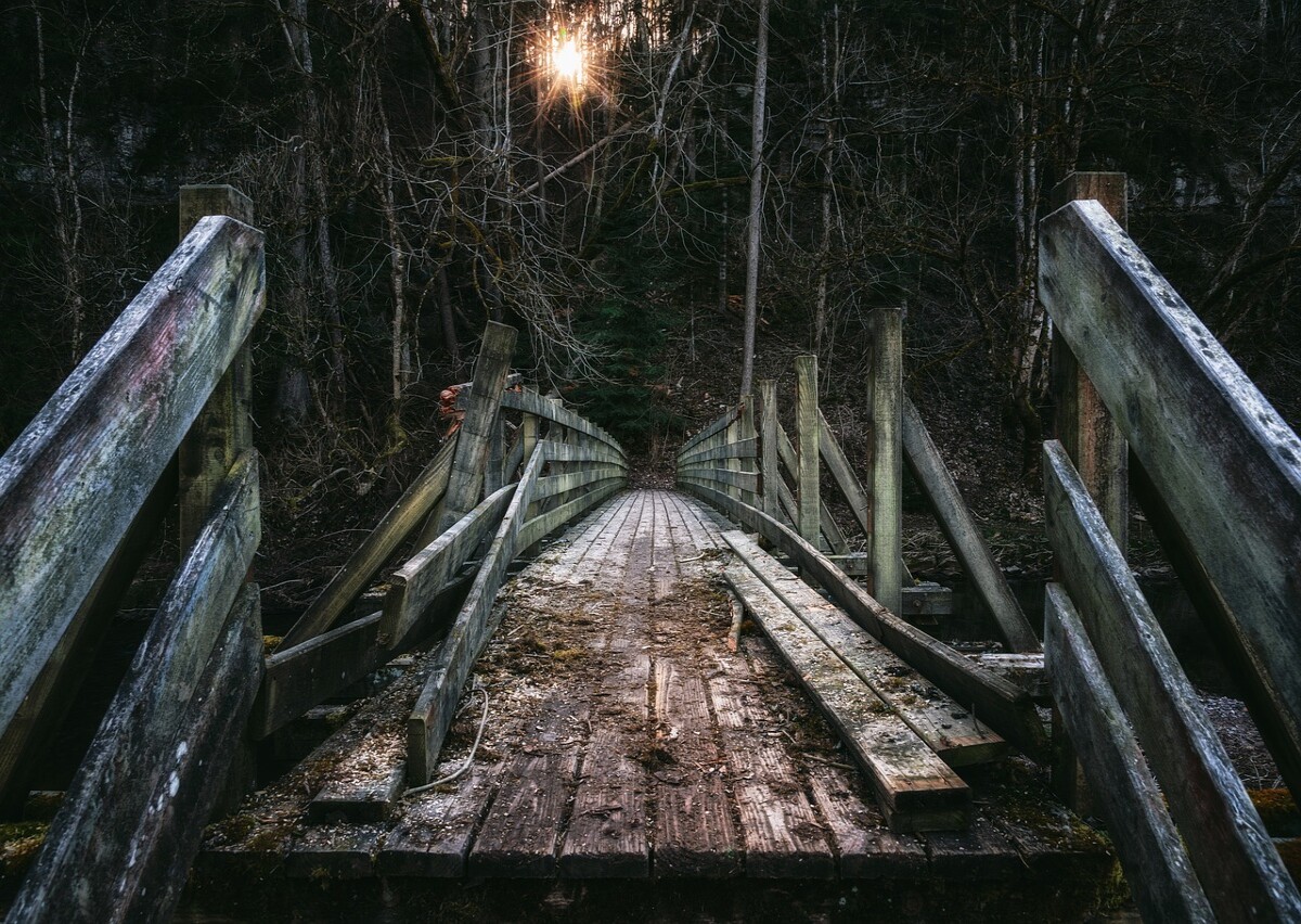 Multichain Warns Users after $126 Million Asset Outflow, Confirms Exploit of Fantom, Moonriver and Dogechain Crypto Bridges