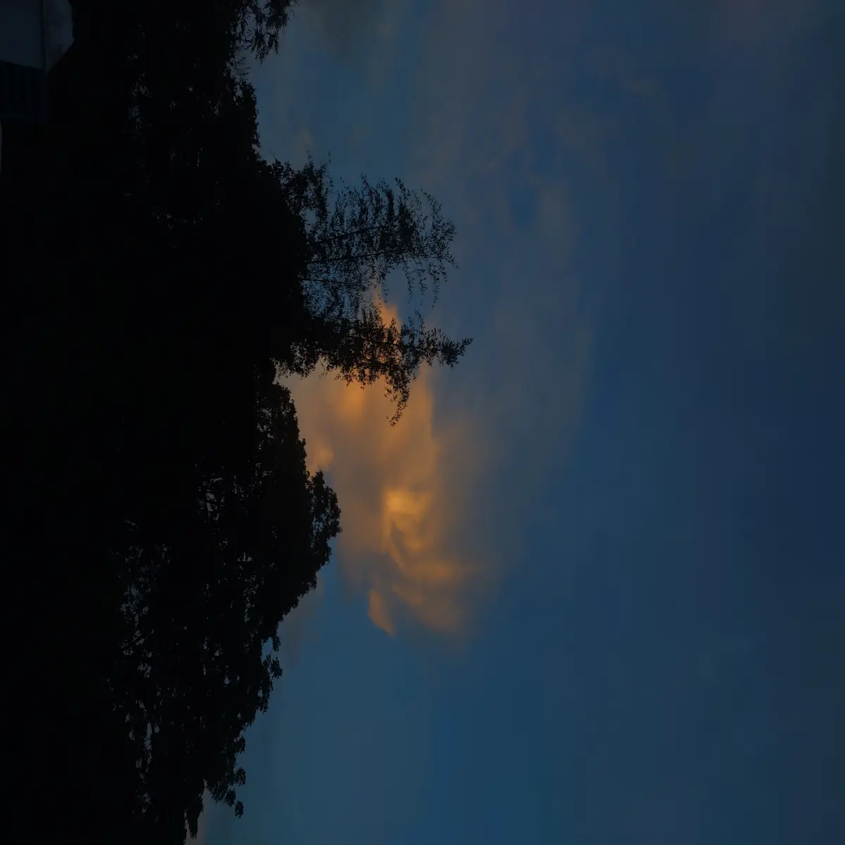31d7f42d3549fa58af3ba80f287c8d67f522205595dcdfff0575be50ca9e721e.jpg
