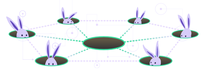 network