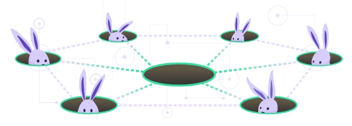 network