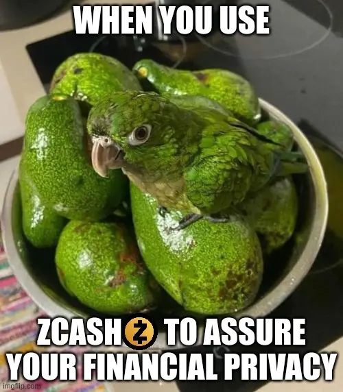 6ab6f77c827149f8ecd4bc8dfc2f223a7e7102e63660067576cee2087e050b2f.jpg