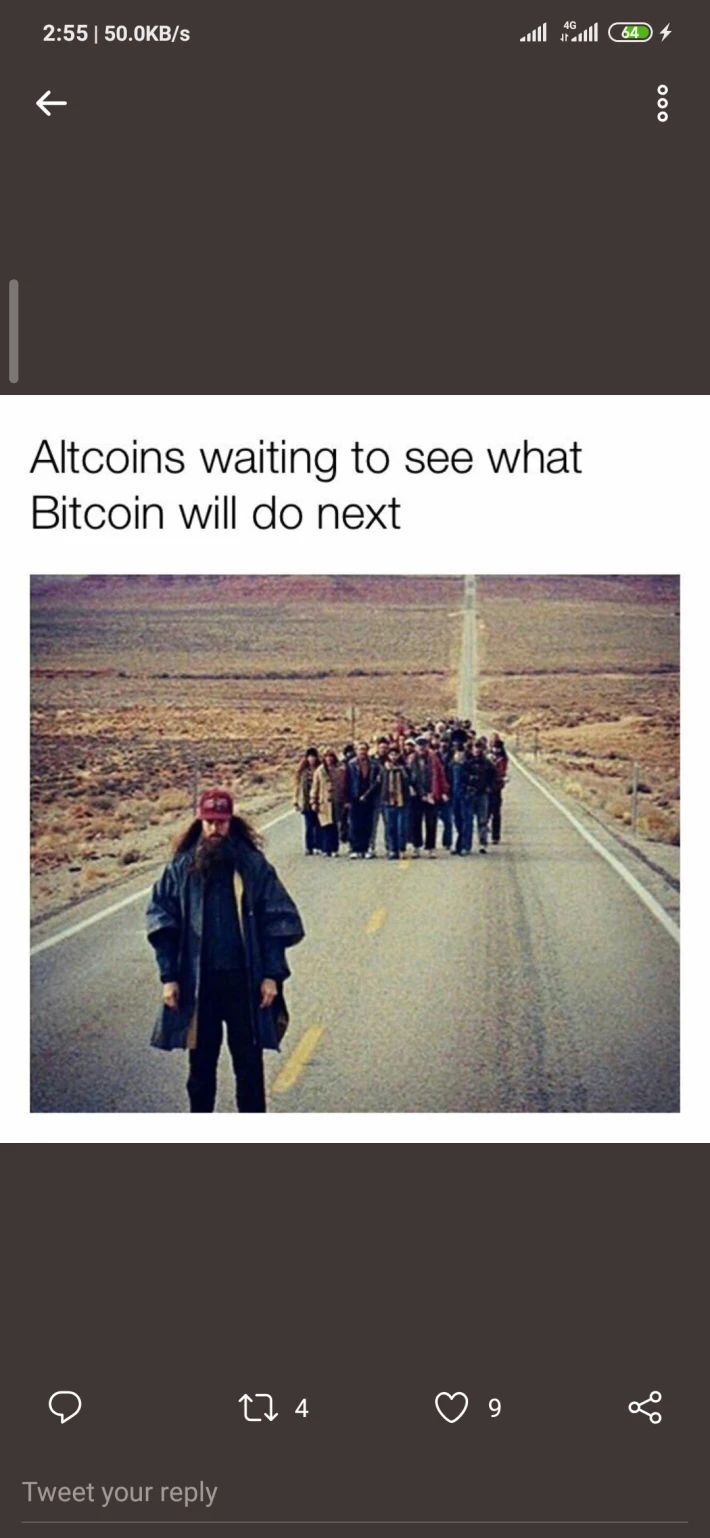 351665157-b2a3bb0a192ec870536383b1d96c056d73ab62d62dc75fb6f1115ea011159e16.jpeg