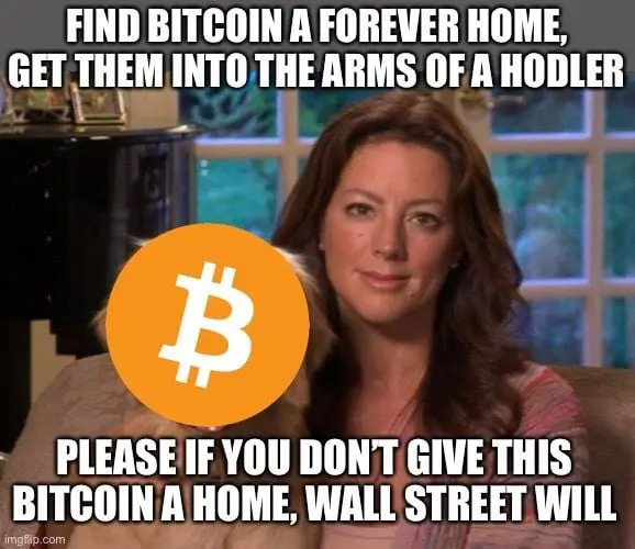 61f981f6777066841ed7ce83c7d2265fdf4aa0b389d643d22cdae14b1158823a.jpg