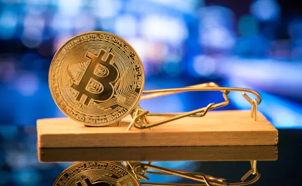 d97f73bbfcf2a7888028676a1e74c8d190ece8ddf4e36528315d2d05ce47d189.jpg