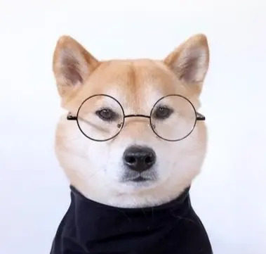 8f13ba509942d5ae057b6675d88b51944df730c5be4b6fea84699efdbd24f051.jpg