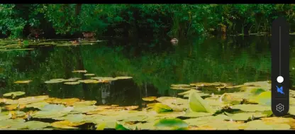 tourism