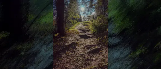 wildlife