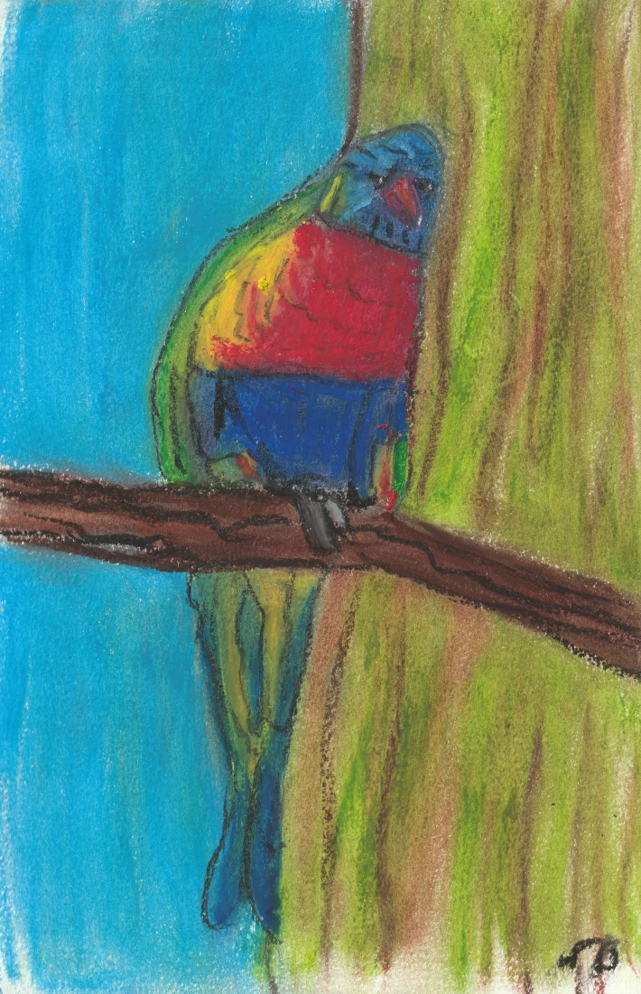 Angry Parrot, Oil Pastels on Paper, 2019