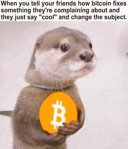 dfdf3e81dc74a0fc146791927800e46bb1a927c20072bf776056459255ee6ffe.jpg