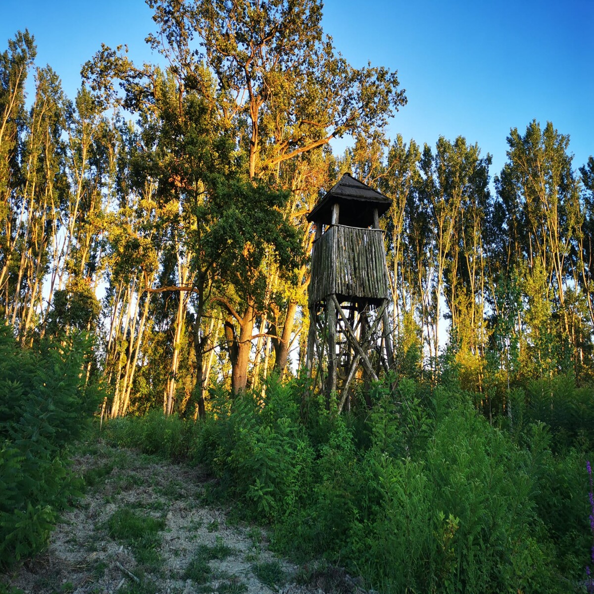 LARA - Liberland Amateur #Radio Association at #Liberland @Liberland_org