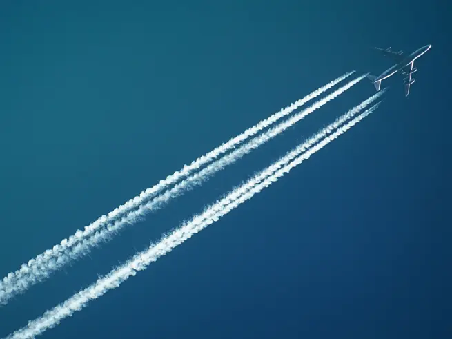 4a905bf5c8ba9339f8bfe4e4a009099738666c143b147cc090e8eb6259a56b10.jpg