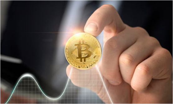 Image by https://www.freepik.com/free-photo/close-up-hand-holding-coin_19925225.htm#query=bitcoin&position=5&from_view=keyword&track=sph Freepik