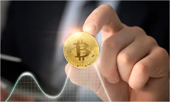Image by https://www.freepik.com/free-photo/close-up-hand-holding-coin_19925225.htm#query=bitcoin&position=5&from_view=keyword&track=sph Freepik